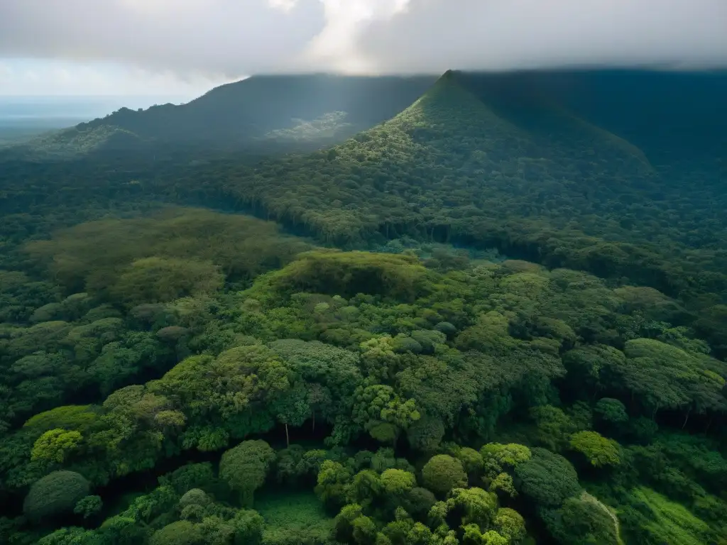 Descubre los secretos de La Ciudad Blanca, descubrimientos arqueológicos civilización maya