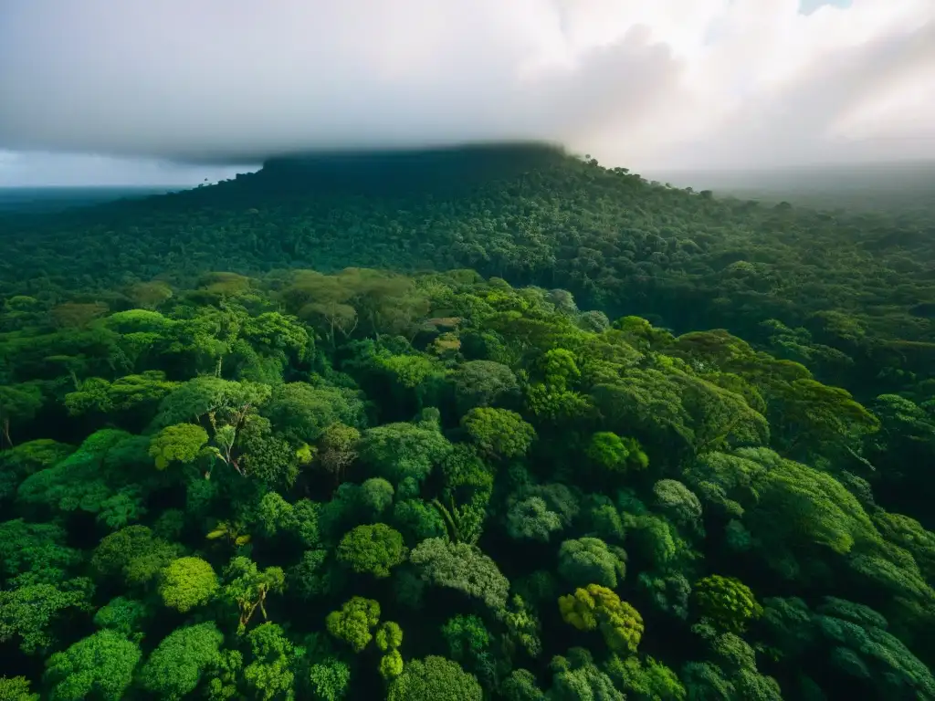 Vista aérea de exuberante selva maya, resaltando biodiversidad y conservación